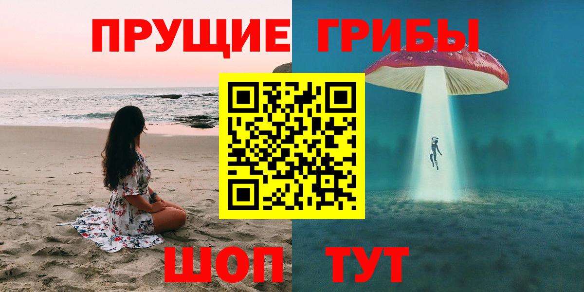 Псилоцибиновые грибы MAGIC MUSHROOMS  Вход с VPN  Черкесск 